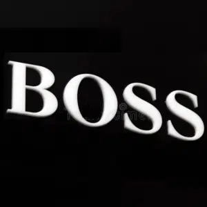 Šviečiančių raidžių nuoma BOSS